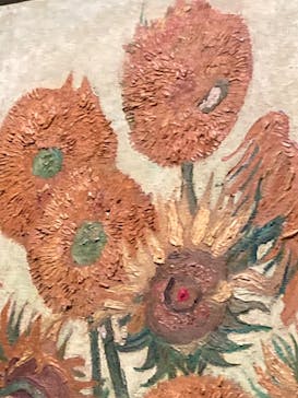 ゴッホと静物画　伝統から革新へ（SＯＭＰＯ美術館）に投稿された画像（2024/1/16）