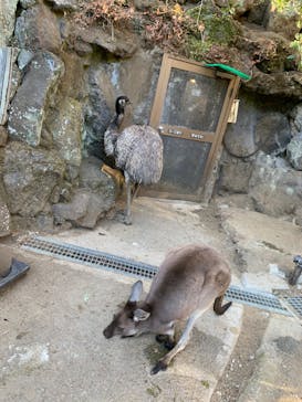 伊豆シャボテン動物公園に投稿された画像（2024/1/16）