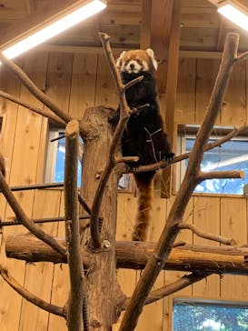 伊豆シャボテン動物公園に投稿された画像（2024/1/16）