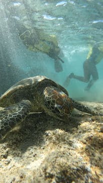 宮古島 ADVENTURE PiPi（ミヤコジマ アドベンチャー ピピ）に投稿された画像（2024/1/16）