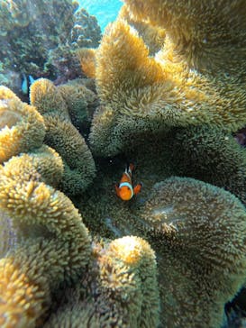 宮古島 ADVENTURE PiPi（ミヤコジマ アドベンチャー ピピ）に投稿された画像（2024/1/16）