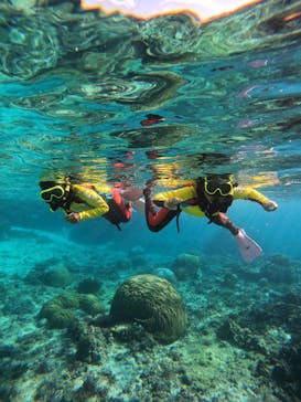 宮古島 ADVENTURE PiPi（ミヤコジマ アドベンチャー ピピ）に投稿された画像（2024/1/16）