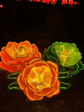 体験王国 むら咲むらに投稿された画像（2024/1/16）