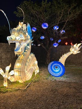 体験王国 むら咲むらに投稿された画像（2024/1/16）