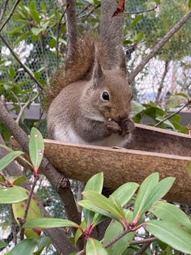 神戸どうぶつ王国に投稿された画像（2024/1/16）