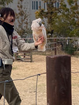 神戸どうぶつ王国に投稿された画像（2024/1/16）