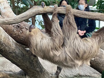 神戸どうぶつ王国に投稿された画像（2024/1/16）