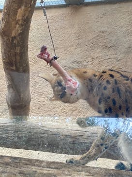 神戸どうぶつ王国に投稿された画像（2024/1/16）