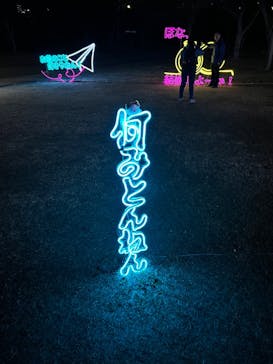 大阪城イルミナージュに投稿された画像（2024/1/16）