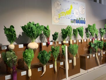 特別展「和食 ～日本の自然、人々の知恵～」に投稿された画像（2024/1/16）