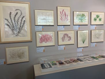 特別展「和食 ～日本の自然、人々の知恵～」に投稿された画像（2024/1/16）