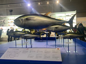 特別展「和食 ～日本の自然、人々の知恵～」に投稿された画像（2024/1/16）