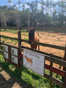 美らヤシパークオキナワ・東南植物楽園に投稿された画像（2024/1/16）