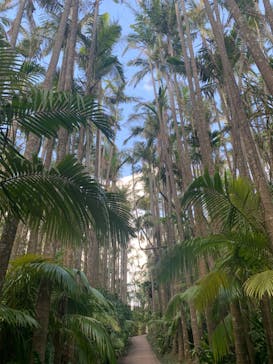 美らヤシパークオキナワ・東南植物楽園に投稿された画像（2024/1/16）