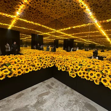 ゴッホ・アライブに投稿された画像（2024/1/16）