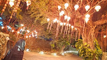 体験王国 むら咲むらに投稿された画像（2024/1/17）