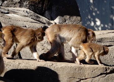 千葉市動物公園に投稿された画像（2024/1/17）