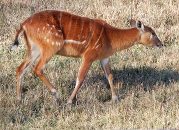 千葉市動物公園に投稿された画像（2024/1/17）