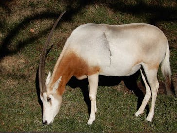 千葉市動物公園に投稿された画像（2024/1/17）