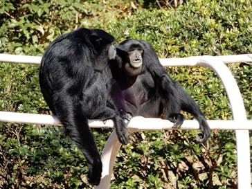 千葉市動物公園に投稿された画像（2024/1/17）