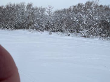 たざわ湖スキー場に投稿された画像（2024/1/17）