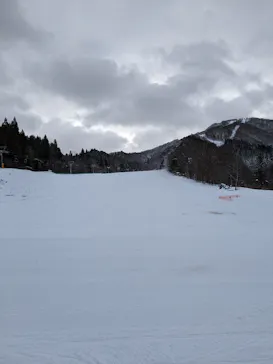 花輪スキー場　アルパスに投稿された画像（2024/1/17）