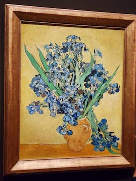 ゴッホと静物画　伝統から革新へ（SＯＭＰＯ美術館）に投稿された画像（2024/1/17）