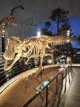 福井県立恐竜博物館に投稿された画像（2024/1/17）