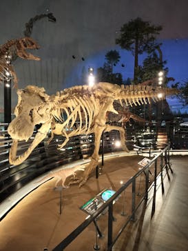 福井県立恐竜博物館に投稿された画像（2024/1/17）