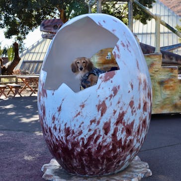 伊豆シャボテン動物公園に投稿された画像（2024/1/17）