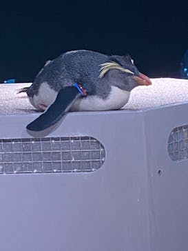 AOAO SAPPOROに投稿された画像（2024/1/17）