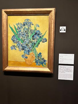 ゴッホと静物画　伝統から革新へ（SＯＭＰＯ美術館）に投稿された画像（2024/1/17）