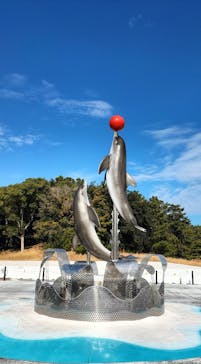 マリンワールド海の中道に投稿された画像（2024/1/17）