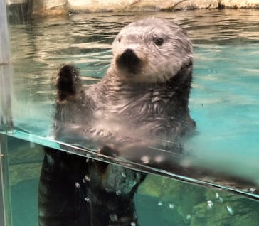 マリンワールド海の中道に投稿された画像（2024/1/17）