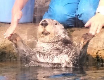 マリンワールド海の中道に投稿された画像（2024/1/17）