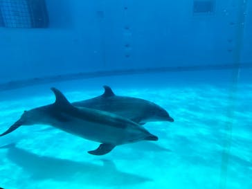 マリンワールド海の中道に投稿された画像（2024/1/17）