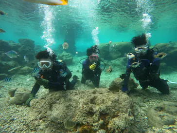 武藤潜水に投稿された画像（2024/1/17）