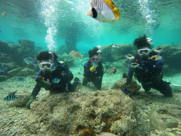 武藤潜水に投稿された画像（2024/1/17）