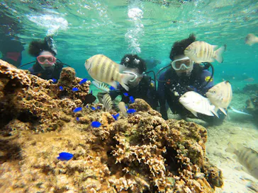 武藤潜水に投稿された画像（2024/1/17）