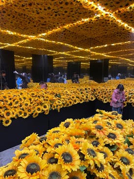 ゴッホ・アライブに投稿された画像（2024/1/17）