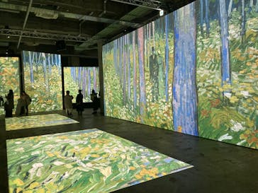 ゴッホ・アライブに投稿された画像（2024/1/17）