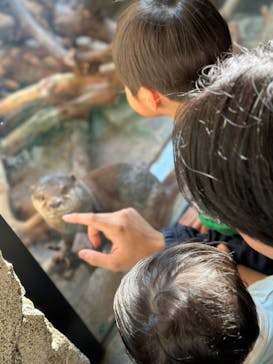 沖縄こどもの国に投稿された画像（2024/1/17）