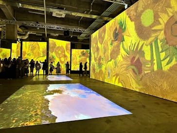 ゴッホ・アライブに投稿された画像（2024/1/17）