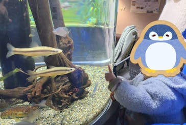 カワスイ 川崎⽔族館に投稿された画像（2024/1/17）