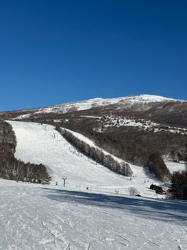 菅平高原スノーリゾートに投稿された画像（2024/1/17）