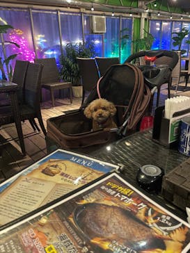 伊豆ぐらんぱる公園に投稿された画像（2024/1/17）