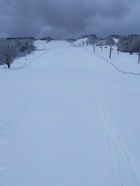 矢島スキー場に投稿された画像（2024/1/17）