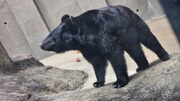 沖縄こどもの国に投稿された画像（2024/1/17）