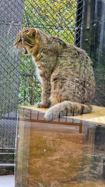 沖縄こどもの国に投稿された画像（2024/1/17）