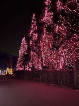 NESTA RESORT KOBE（ネスタリゾート神戸）に投稿された画像（2024/1/17）